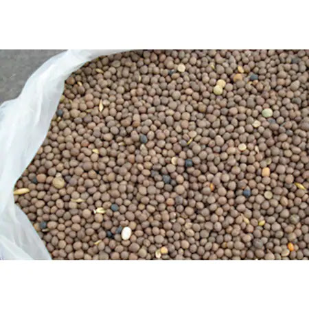 MACAR Fİ TOHUMU 50 KG